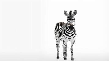 foto do uma fofa zebra em branco fundo. criada de generativo ai