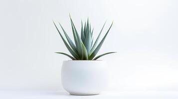 foto do agave dentro minimalista Panela Como planta de casa para casa decoração isolado em branco fundo. generativo ai