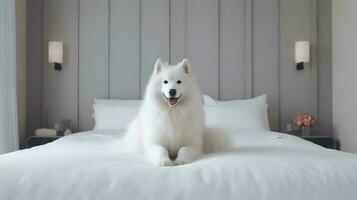 samoiedo cachorro deitado em cama dentro hotel com contemporâneo interior Projeto. generativo ai foto