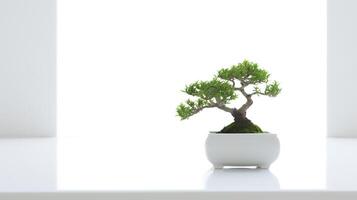 foto do ornamental plantas dentro minimalista Panela Como planta de casa para casa decoração isolado em branco fundo. generativo ai