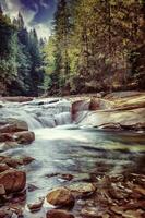 bela cachoeira na floresta foto