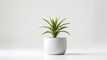 foto planta de casa dentro minimalista Panela para casa decoração. generativo ai