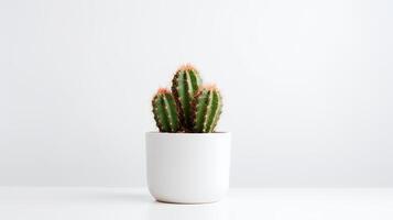 foto do cacto dentro minimalista Panela Como planta de casa para casa decoração isolado em branco fundo. generativo ai