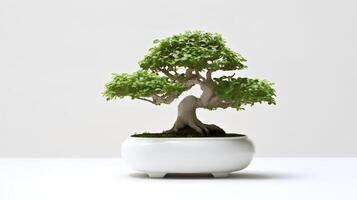 foto do bonsai dentro minimalista Panela Como planta de casa para casa decoração isolado em branco fundo. generativo ai