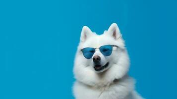 foto do arrogante samoiedo cachorro usando óculos e escritório terno em branco fundo. generativo ai