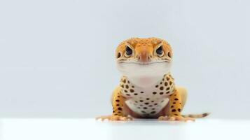 foto do uma leopardo lagartixa em branco fundo. generativo ai