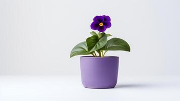 foto do tolet flor dentro minimalista Panela Como planta de casa para casa decoração isolado em branco fundo. generativo ai