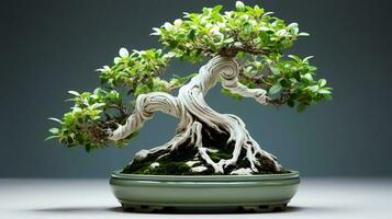 foto do bonsai dentro minimalista Panela Como planta de casa para casa decoração isolado em embaçado fundo. generativo ai