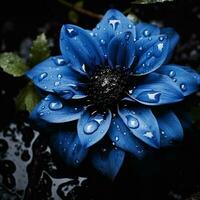 azul flor com água da chuva foto