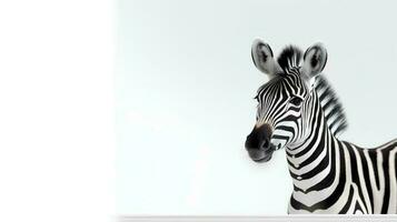 foto do uma fofa zebra em branco fundo. criada de generativo ai