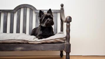 retrato do Affenpinscher deitado em cadeira. generativo ai foto