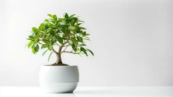 foto do banyan dentro minimalista Panela Como planta de casa para casa decoração isolado em branco fundo. generativo ai