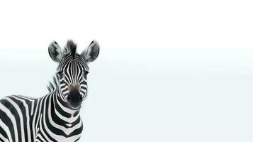 foto do uma fofa zebra em branco fundo. criada de generativo ai