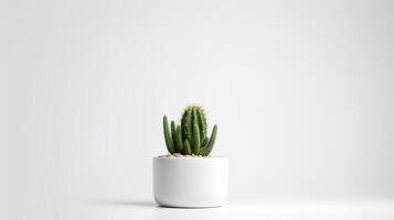 foto do cacto dentro minimalista Panela Como planta de casa para casa decoração isolado em branco fundo. generativo ai