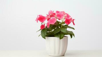 foto do impatiens flores dentro minimalista Panela Como planta de casa para casa decoração isolado em branco fundo. generativo ai