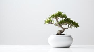 foto do bonsai dentro minimalista Panela Como planta de casa para casa decoração isolado em branco fundo. generativo ai