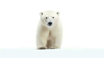 foto do uma idiota a polar Urso em branco fundo. generativo ai