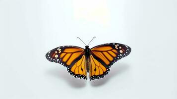 foto do uma monarca butterly em branco fundo. generativo ai