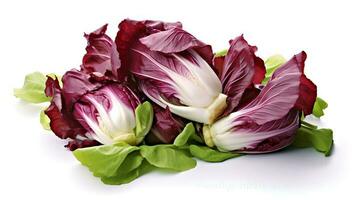 foto do radicchio isolado em branco fundo