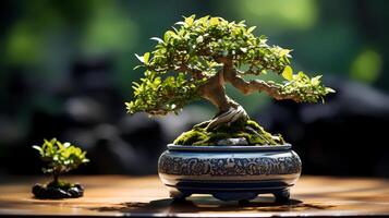 foto do bonsai dentro minimalista Panela Como planta de casa para casa decoração isolado em embaçado fundo. generativo ai