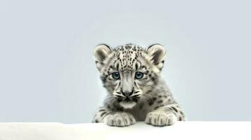 foto do uma neve leopardo em branco fundo. generativo ai