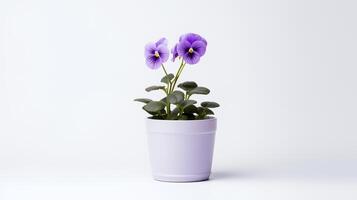 foto do tolet flor dentro minimalista Panela Como planta de casa para casa decoração isolado em branco fundo. generativo ai