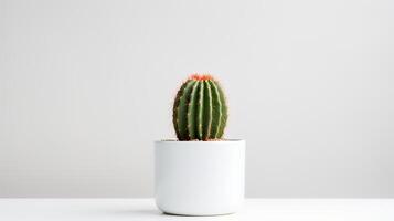 foto do cacto dentro minimalista Panela Como planta de casa para casa decoração isolado em branco fundo. generativo ai