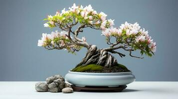 foto do bonsai dentro minimalista Panela Como planta de casa para casa decoração isolado em embaçado fundo. generativo ai