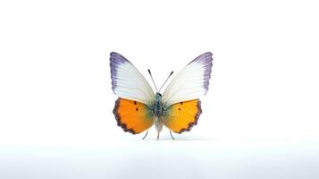 foto do uma borboleta em branco fundo. generativo ai