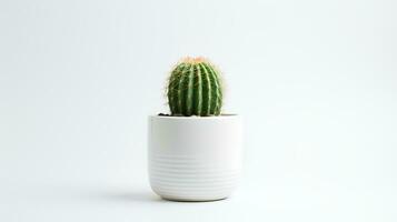 foto do cacto dentro minimalista Panela Como planta de casa para casa decoração isolado em branco fundo. generativo ai