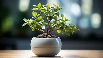 foto do bonsai dentro minimalista Panela Como planta de casa para casa decoração isolado em embaçado fundo. generativo ai