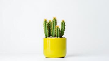 foto do espinhoso pera dentro minimalista amarelo Panela Como planta de casa para casa decoração isolado em branco fundo. generativo ai