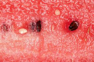 vermelho textura do uma fatiado Melancia com sementes foto