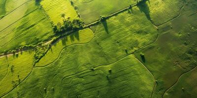 generativo ai, Fazenda paisagem, agrícola Campos, lindo interior, país estrada. natureza ilustração, fotorrealista topo Visão drone, horizontal bandeira. foto