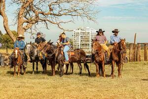 apore, Goiás, Brasil - 05 07 2023 a cavalo equitação evento aberto para a público foto