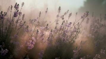 generativo ai, fechar acima crescendo lavanda campo com perfume fumaça, floração lavandula, Rosa roxa flores e grama. foto