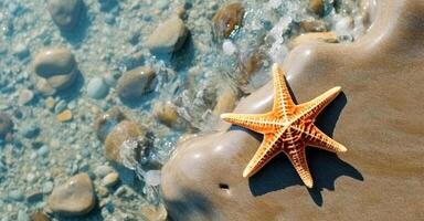 fechar acima do estrela do Mar. verão fundo com cópia de espaço. generativo ai foto