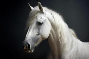 branco cavalo portret em Preto fundo, criada com generativo ai tecnologia foto