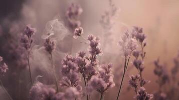 generativo ai, fechar acima crescendo lavanda campo com perfume fumaça, floração lavandula, Rosa roxa flores e grama. foto