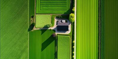 generativo ai, Fazenda paisagem, agrícola Campos, lindo interior, país estrada. natureza ilustração, fotorrealista topo Visão drone, horizontal bandeira. foto