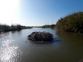 águas paradas do rio llobregat foto