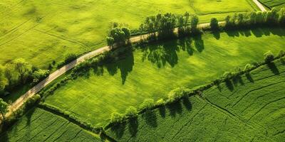 generativo ai, Fazenda paisagem, agrícola Campos, lindo interior, país estrada. natureza ilustração, fotorrealista topo Visão drone, horizontal bandeira. foto