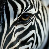 fechar-se do uma zebra olho. generativo ai foto