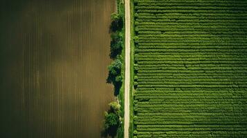 generativo ai, Fazenda paisagem, agrícola Campos, lindo interior, país estrada. natureza ilustração, fotorrealista topo Visão drone, horizontal bandeira. foto