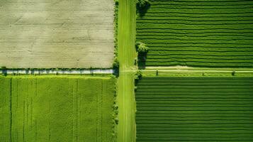 generativo ai, Fazenda paisagem, agrícola Campos, lindo interior, país estrada. natureza ilustração, fotorrealista topo Visão drone, horizontal bandeira. foto