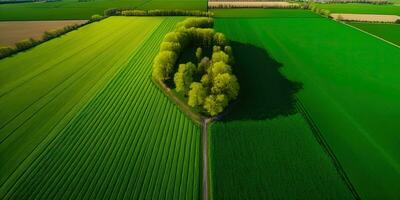 generativo ai, Fazenda paisagem, agrícola Campos, lindo interior, país estrada. natureza ilustração, fotorrealista topo Visão drone, horizontal bandeira. foto