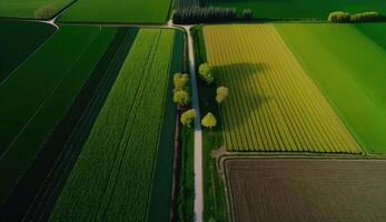 generativo ai, Fazenda paisagem, agrícola Campos, lindo interior, país estrada. natureza ilustração, fotorrealista topo Visão drone, horizontal bandeira. foto