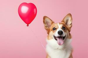 galês corgi cachorro com coração forma balão. foto