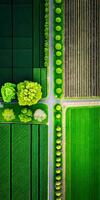 generativo ai, Fazenda paisagem, agrícola Campos, lindo interior, país estrada. natureza ilustração, fotorrealista topo Visão drone, vertical formato foto