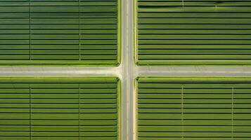 generativo ai, Fazenda paisagem, agrícola Campos, lindo interior, país estrada. natureza ilustração, fotorrealista topo Visão drone, horizontal bandeira. foto